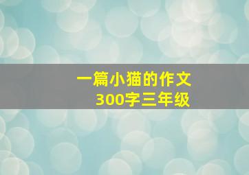 一篇小猫的作文300字三年级