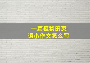 一篇植物的英语小作文怎么写