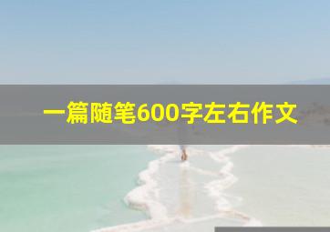 一篇随笔600字左右作文