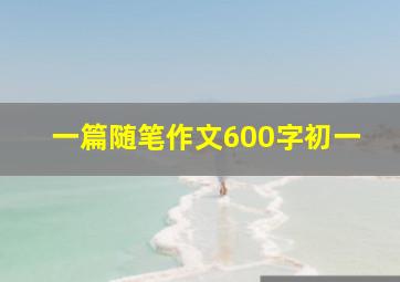 一篇随笔作文600字初一