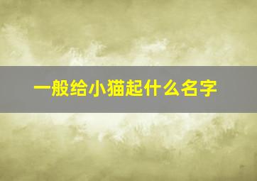 一般给小猫起什么名字