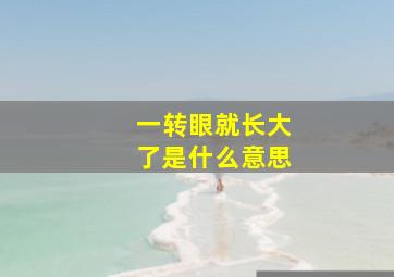 一转眼就长大了是什么意思