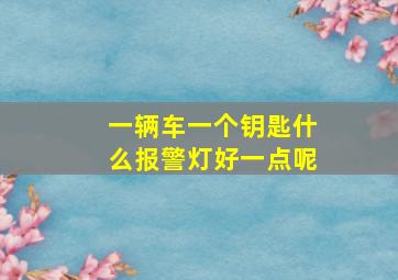 一辆车一个钥匙什么报警灯好一点呢