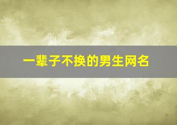 一辈子不换的男生网名