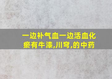 一边补气血一边活血化瘀有牛漆,川穹,的中药