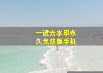 一键去水印永久免费版手机