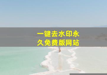 一键去水印永久免费版网站