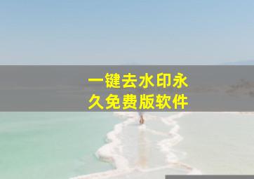 一键去水印永久免费版软件