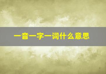 一音一字一词什么意思