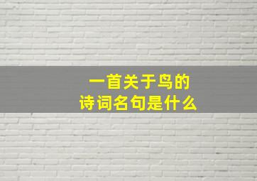 一首关于鸟的诗词名句是什么