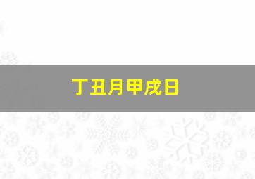 丁丑月甲戌日