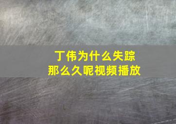 丁伟为什么失踪那么久呢视频播放