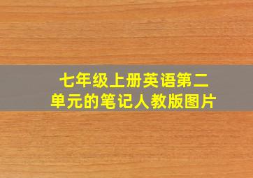 七年级上册英语第二单元的笔记人教版图片