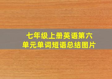 七年级上册英语第六单元单词短语总结图片