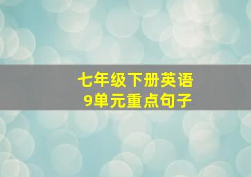 七年级下册英语9单元重点句子