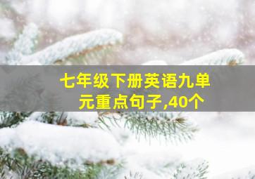 七年级下册英语九单元重点句子,40个