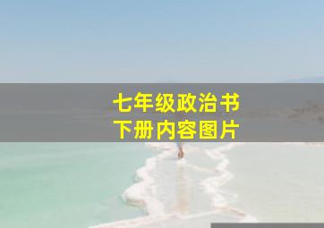 七年级政治书下册内容图片