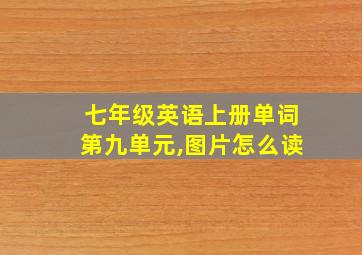 七年级英语上册单词第九单元,图片怎么读