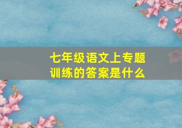 七年级语文上专题训练的答案是什么