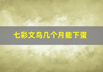 七彩文鸟几个月能下蛋