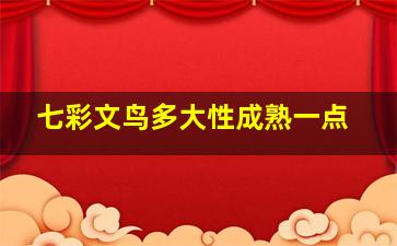 七彩文鸟多大性成熟一点