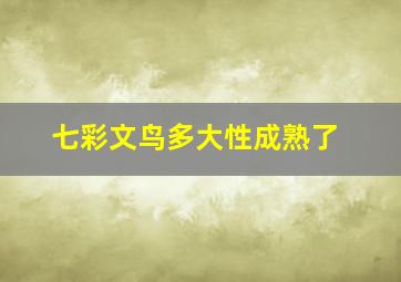 七彩文鸟多大性成熟了