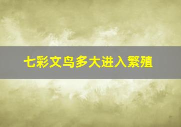 七彩文鸟多大进入繁殖