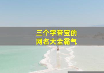 三个字带宝的网名大全霸气