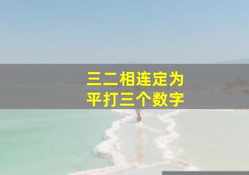 三二相连定为平打三个数字