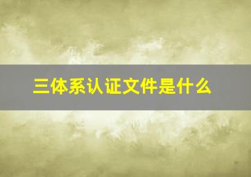 三体系认证文件是什么