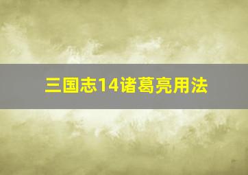 三国志14诸葛亮用法