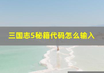 三国志5秘籍代码怎么输入