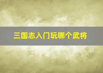 三国志入门玩哪个武将