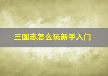 三国志怎么玩新手入门