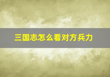 三国志怎么看对方兵力