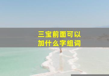 三宝前面可以加什么字组词