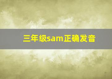 三年级sam正确发音