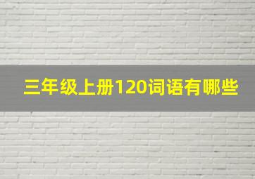 三年级上册120词语有哪些