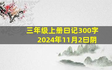 三年级上册曰记300字2024年11月2曰阴