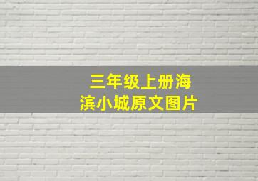 三年级上册海滨小城原文图片