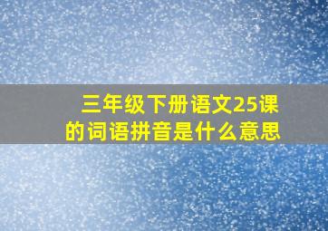 三年级下册语文25课的词语拼音是什么意思