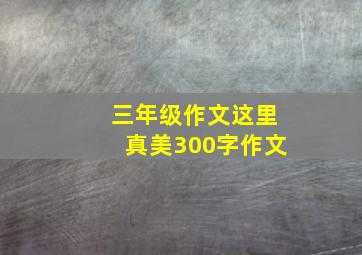 三年级作文这里真美300字作文