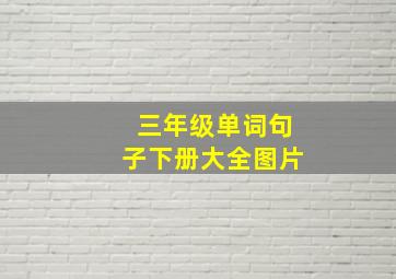 三年级单词句子下册大全图片