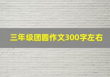 三年级团圆作文300字左右