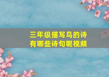 三年级描写鸟的诗有哪些诗句呢视频