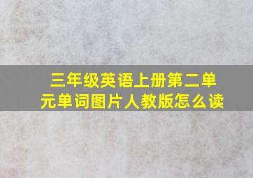 三年级英语上册第二单元单词图片人教版怎么读