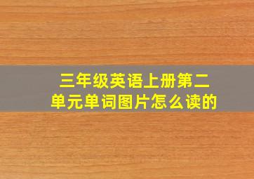 三年级英语上册第二单元单词图片怎么读的