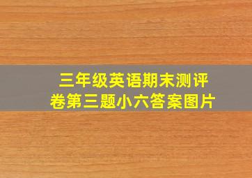 三年级英语期末测评卷第三题小六答案图片