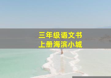 三年级语文书上册海滨小城