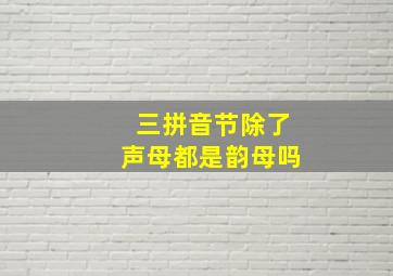 三拼音节除了声母都是韵母吗